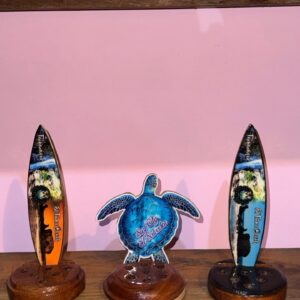 Recuerdo Surf City con tortuga y tablas